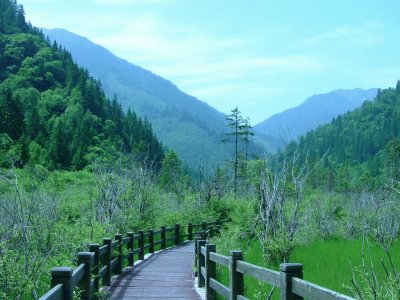 The road to Tibet