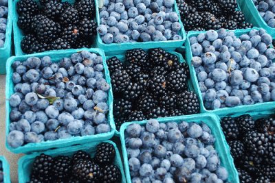 Farm Fresh Black and Blueberries