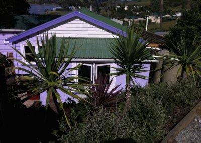 Purple Vacation Home-New Zealand