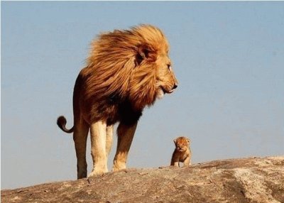 majestic and  son