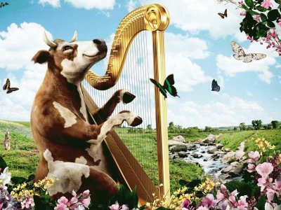 Vaca Musical