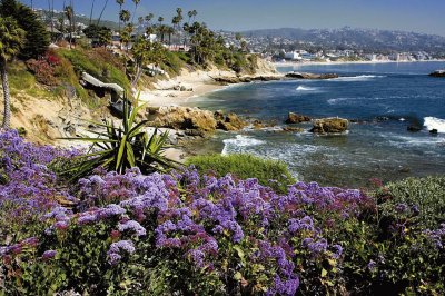 Orange County Beach Flowers