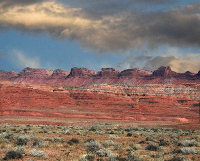 Arizona Comb Ridge Wash