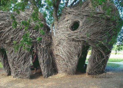 Lookout Tree-Artist Creation-Redding