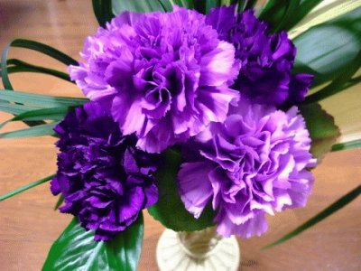 Vibrant Purple Carnations