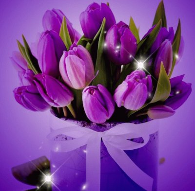 Purple Tulips-Art