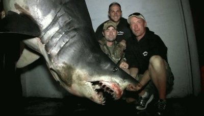 World Record Mako Shark Catch-June 3, 2013 HB