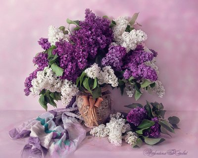 Lilacs-Photography Art