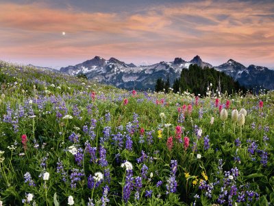 tatoosh range