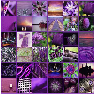 Everything Purple Collage