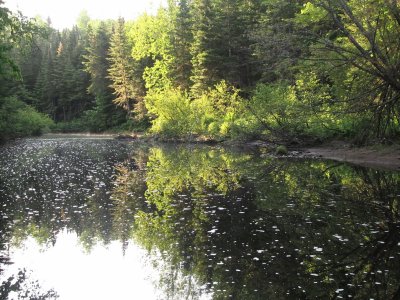 Black River NB