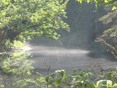 Another day at Black River fishing hole