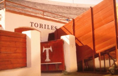 plaza toros elda