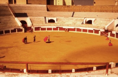 escuela de toreo