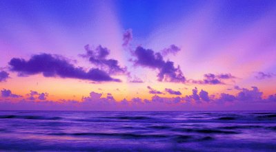 Purple Dawn