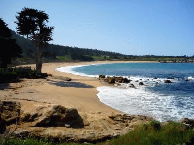 Monastery Beach-Carmel