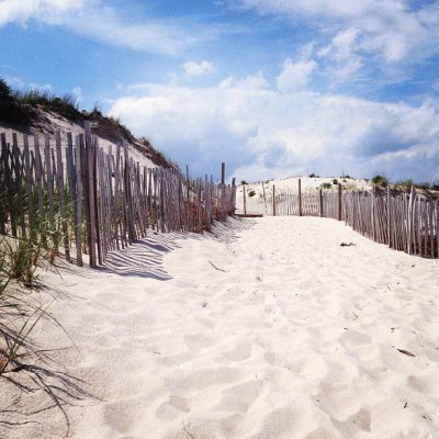 Harvey Cedars, NJ