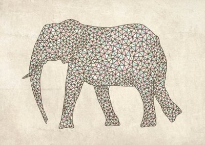 Geometric Elephant