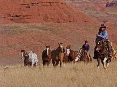 wyoming cowboys