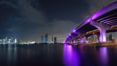 Purple Miami Night