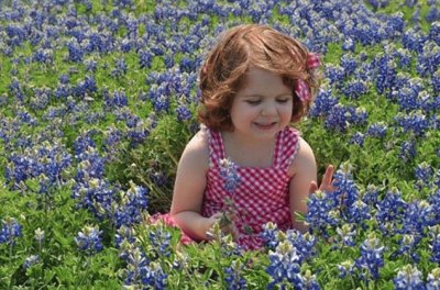 Little Girl in the Purple Flowers