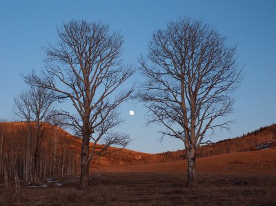 Colorado moonrise