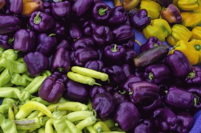 Fresh Purple Peppers