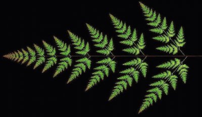 fern fractal