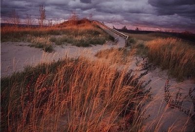 Bear dunes