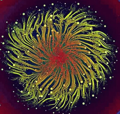 bacteria as art