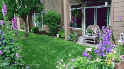 Peaceful Summer Garden