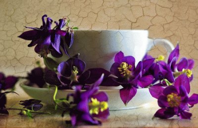 Purple Flowers and White Cup