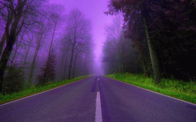 Purple Misty Road