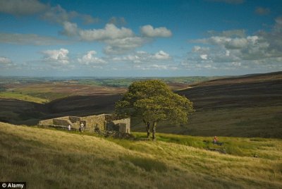 Wuthering heights