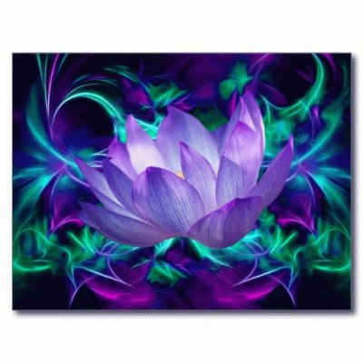 Purple Lotus Flower-Art