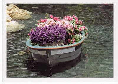 Flower Boat