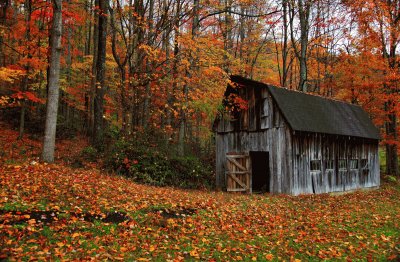 autumn country barn