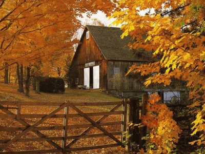 autumn country barn