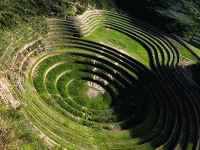 Inca fields