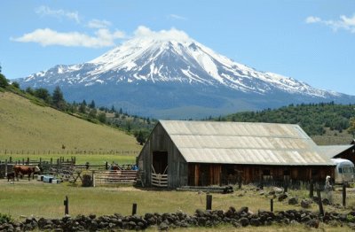 mountain homestead