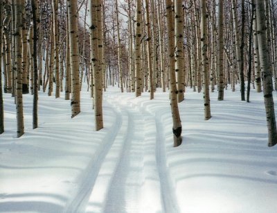 road in winter