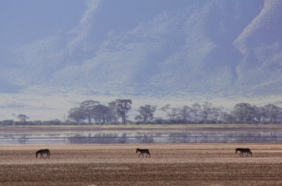 heaven with horses