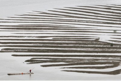 pattern at low tide