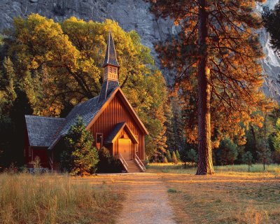 natural church