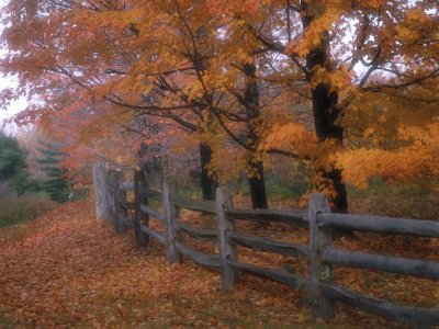 country fence