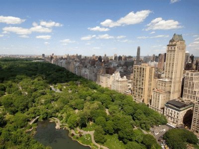 Central Park NYC