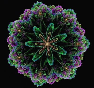 fractal flower