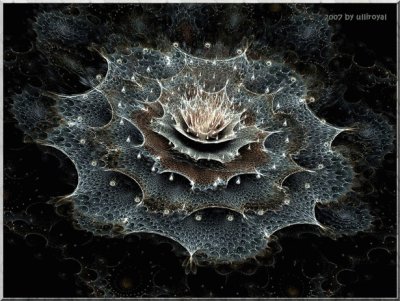 apophysis