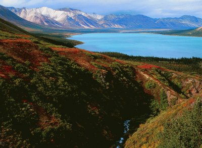 Twin Lakes, Alaska