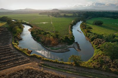 El CaÃ±o